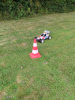 Bild-Thumbnail