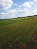 Bild-Thumbnail