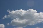 Bild-Thumbnail
