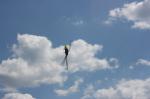 Bild-Thumbnail